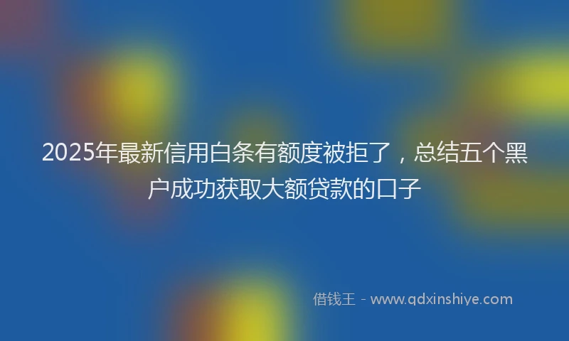 2025年最新信用白条有额度被拒了，总结五个黑户成功获取大额贷款的口子