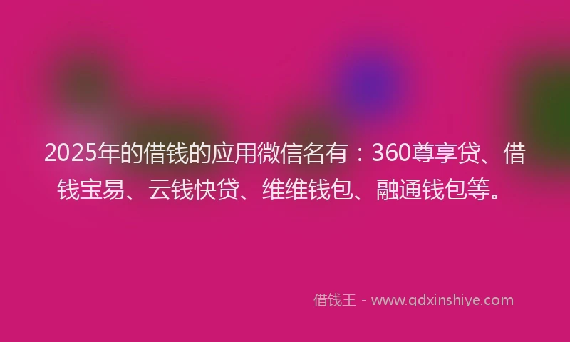 2025年的借钱的应用微信名有：360尊享贷、借钱宝易、云钱快贷、维维钱包、融通钱包等。