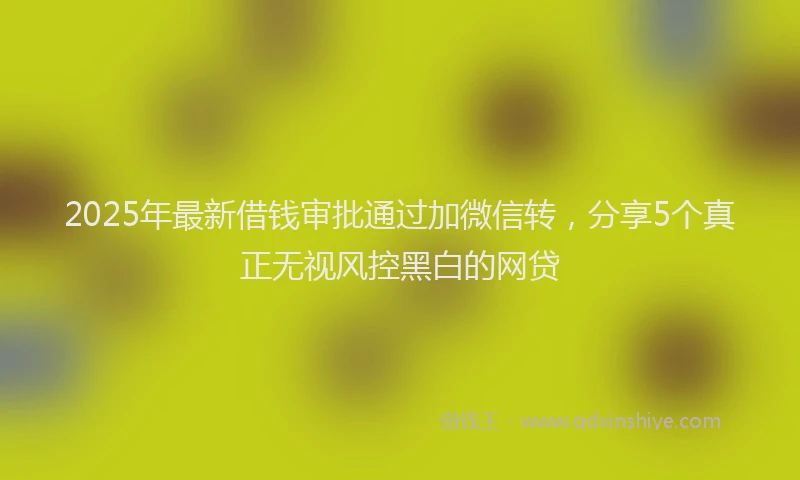 2025年最新借钱审批通过加微信转，分享5个真正无视风控黑白的网贷