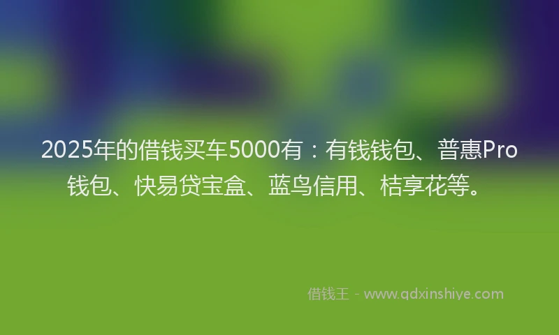 2025年的借钱买车5000有：有钱钱包、普惠Pro钱包、快易贷宝盒、蓝鸟信用、桔享花等。