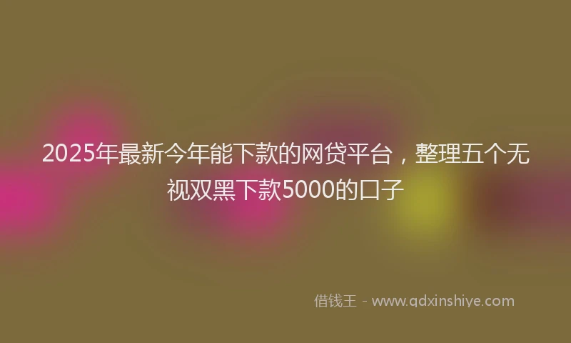 2025年最新今年能下款的网贷平台，整理五个无视双黑下款5000的口子
