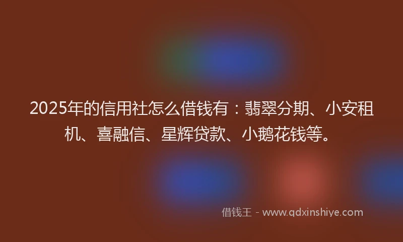 2025年的信用社怎么借钱有：翡翠分期、小安租机、喜融信、星辉贷款、小鹅花钱等。