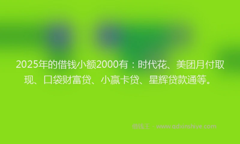 2025年的借钱小额2000有：时代花、美团月付取现、口袋财富贷、小赢卡贷、星辉贷款通等。