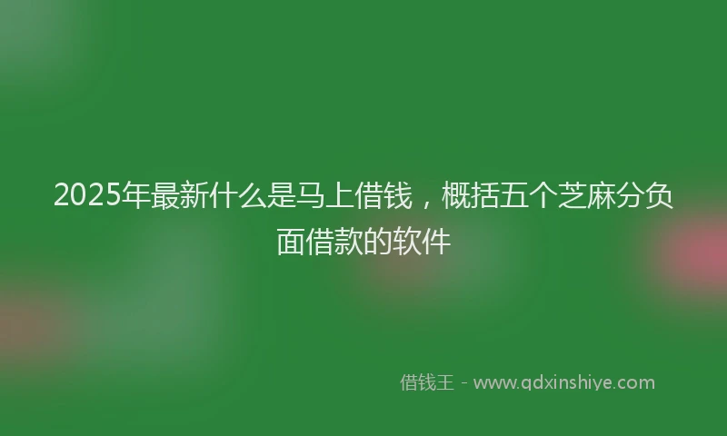 2025年最新什么是马上借钱，概括五个芝麻分负面借款的软件