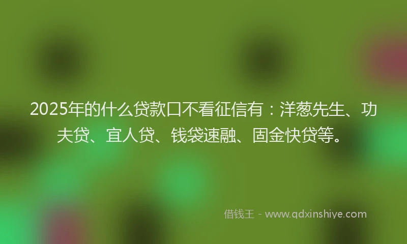 2025年的什么贷款口不看征信有：洋葱先生、功夫贷、宜人贷、钱袋速融、固金快贷等。