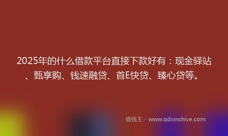 2025年的什么借款平台直接下款好有：现金驿站、甄享购、钱速融贷、首E快贷、臻心贷等。