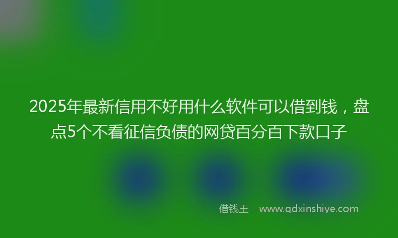 2025年最新信用不好用什么软件可以借到钱，盘点5个不看征信负债的网贷百分百下款口子