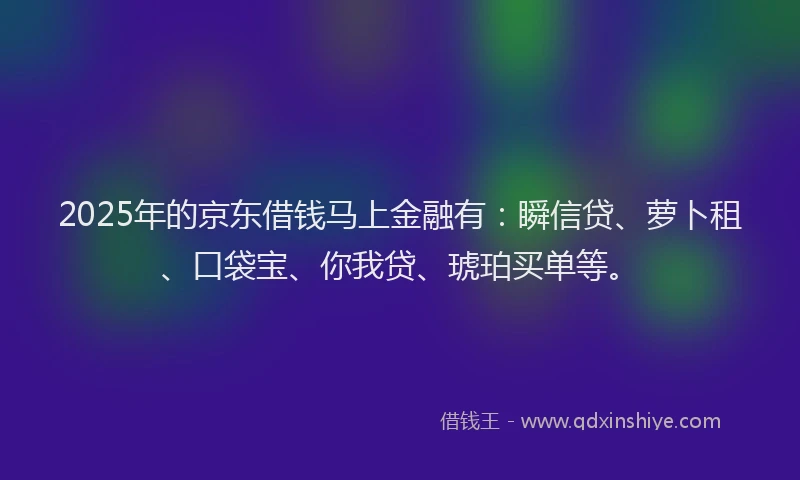 2025年的京东借钱马上金融有：瞬信贷、萝卜租、口袋宝、你我贷、琥珀买单等。