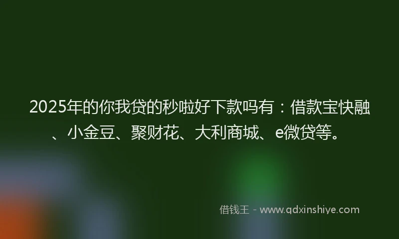 2025年的你我贷的秒啦好下款吗有：借款宝快融、小金豆、聚财花、大利商城、e微贷等。