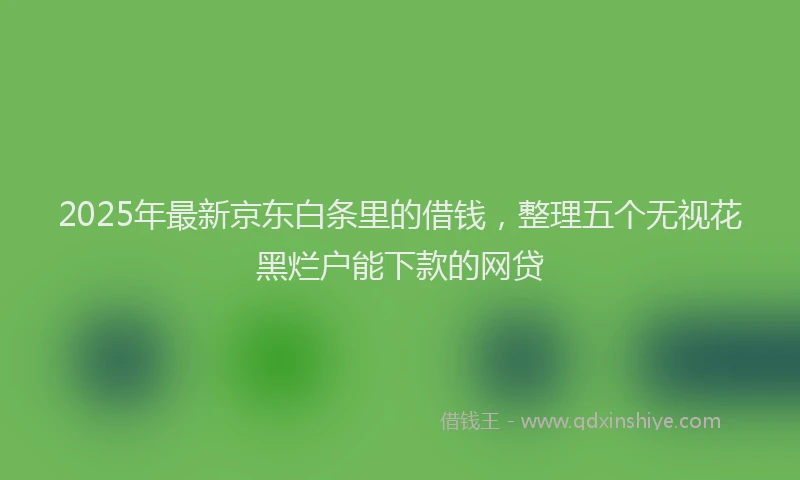 2025年最新京东白条里的借钱，整理五个无视花黑烂户能下款的网贷