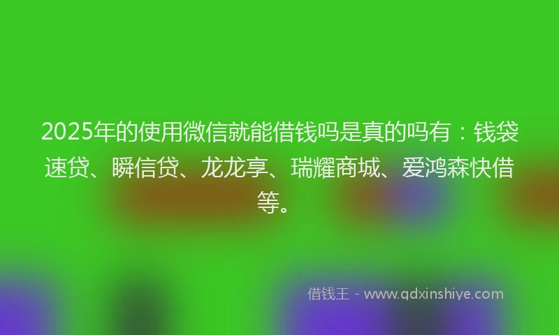 2025年的使用微信就能借钱吗是真的吗有：钱袋速贷、瞬信贷、龙龙享、瑞耀商城、爱鸿森快借等。
