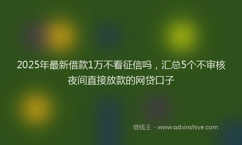 2025年最新借款1万不看征信吗，汇总5个不审核夜间直接放款的网贷口子