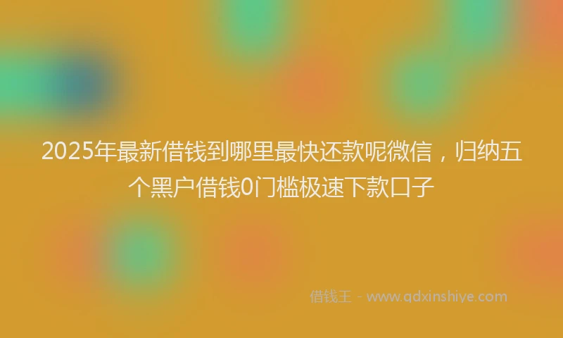 2025年最新借钱到哪里最快还款呢微信，归纳五个黑户借钱0门槛极速下款口子