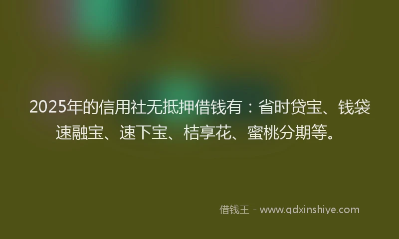 2025年的信用社无抵押借钱有：省时贷宝、钱袋速融宝、速下宝、桔享花、蜜桃分期等。