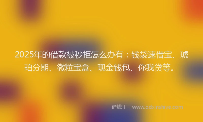 2025年的借款被秒拒怎么办有：钱袋速借宝、琥珀分期、微粒宝盒、现金钱包、你我贷等。
