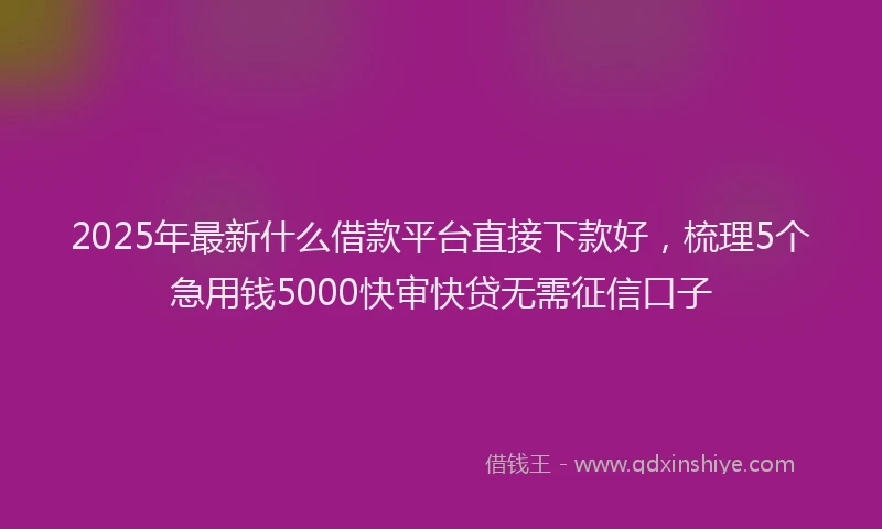 2025年最新什么借款平台直接下款好，梳理5个急用钱5000快审快贷无需征信口子