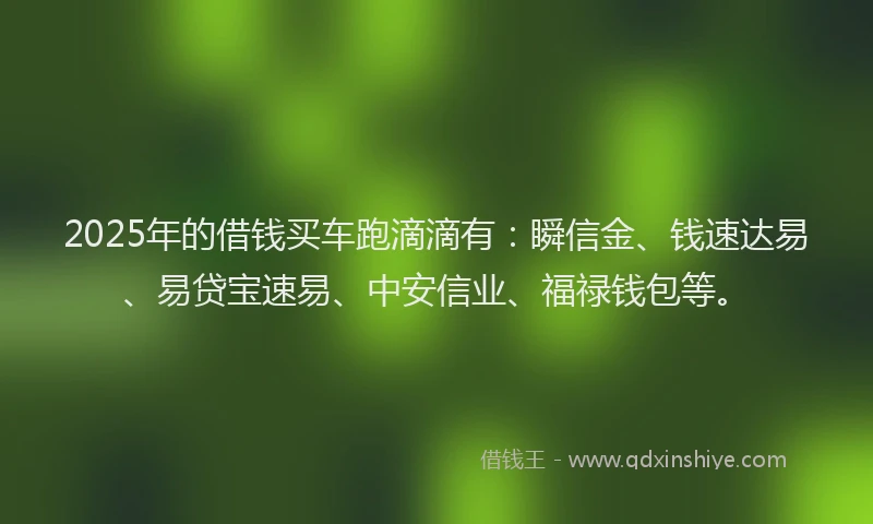 2025年的借钱买车跑滴滴有：瞬信金、钱速达易、易贷宝速易、中安信业、福禄钱包等。