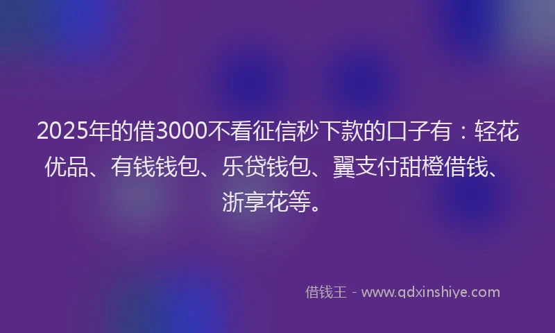 2025年的借3000不看征信秒下款的口子有：轻花优品、有钱钱包、乐贷钱包、翼支付甜橙借钱、浙享花等。