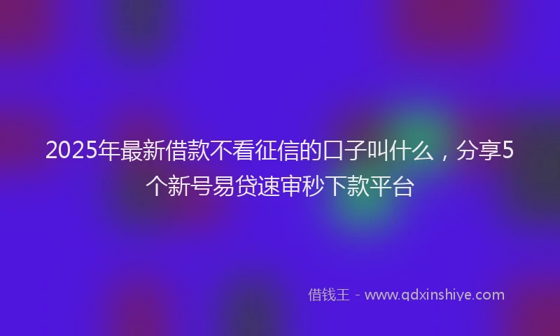 2025年最新借款不看征信的口子叫什么，分享5个新号易贷速审秒下款平台