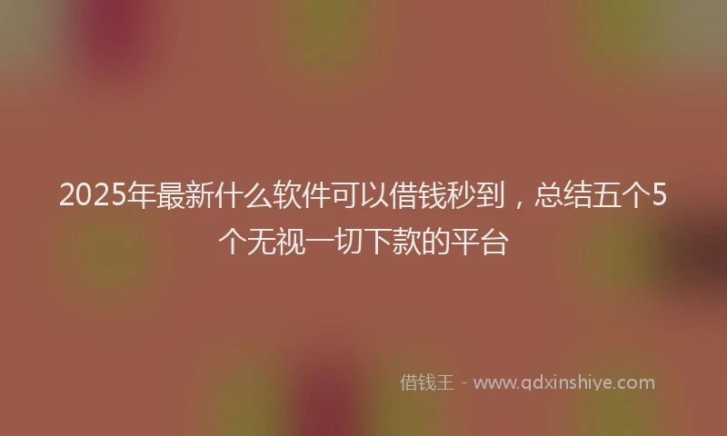 2025年最新什么软件可以借钱秒到，总结五个5个无视一切下款的平台