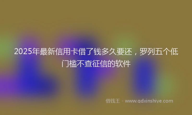 2025年最新信用卡借了钱多久要还，罗列五个低门槛不查征信的软件