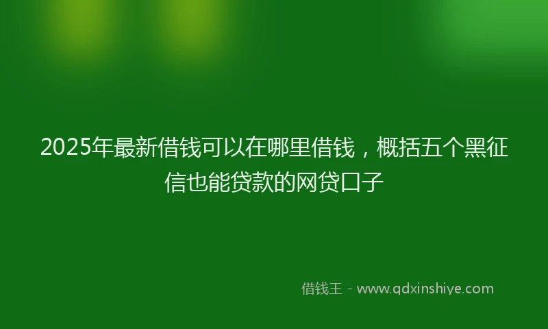 2025年最新借钱可以在哪里借钱，概括五个黑征信也能贷款的网贷口子