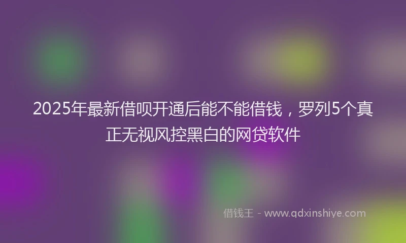 2025年最新借呗开通后能不能借钱，罗列5个真正无视风控黑白的网贷软件