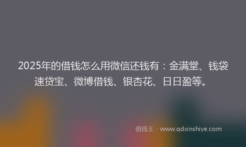 2025年的借钱怎么用微信还钱有：金满堂、钱袋速贷宝、微博借钱、银杏花、日日盈等。