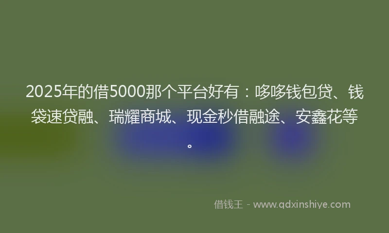 2025年的借5000那个平台好有：哆哆钱包贷、钱袋速贷融、瑞耀商城、现金秒借融途、安鑫花等。