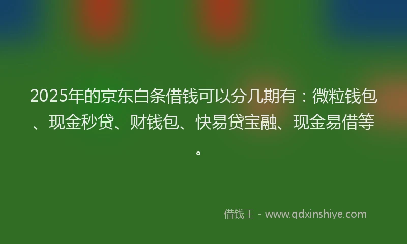 2025年的京东白条借钱可以分几期有：微粒钱包、现金秒贷、财钱包、快易贷宝融、现金易借等。