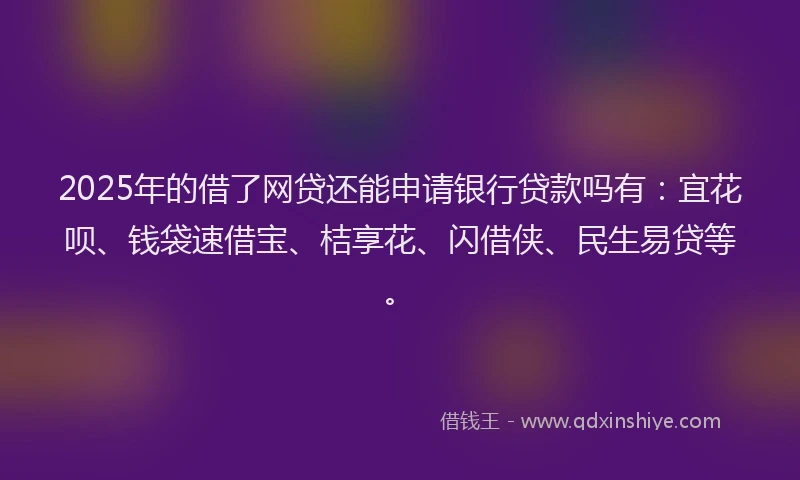 2025年的借了网贷还能申请银行贷款吗有：宜花呗、钱袋速借宝、桔享花、闪借侠、民生易贷等。