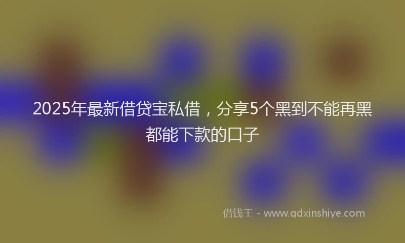 2025年最新借贷宝私借，分享5个黑到不能再黑都能下款的口子