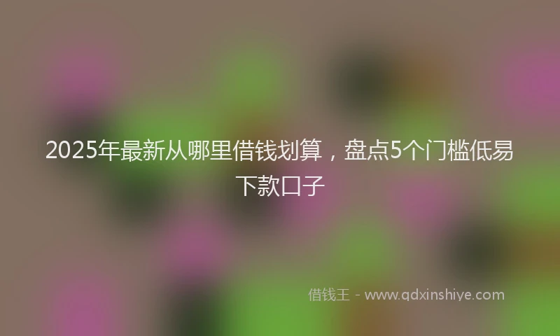 2025年最新从哪里借钱划算，盘点5个门槛低易下款口子