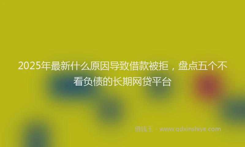 2025年最新什么原因导致借款被拒，盘点五个不看负债的长期网贷平台