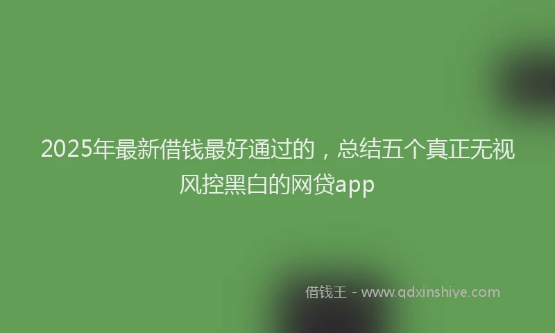 2025年最新借钱最好通过的，总结五个真正无视风控黑白的网贷app