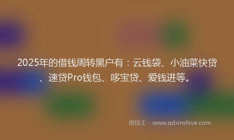 2025年的借钱周转黑户有：云钱袋、小油菜快贷、速贷Pro钱包、哆宝贷、爱钱进等。