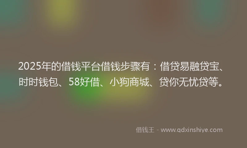 2025年的借钱平台借钱步骤有：借贷易融贷宝、时时钱包、58好借、小狗商城、贷你无忧贷等。
