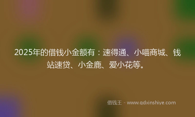 2025年的借钱小金额有：速得通、小喵商城、钱站速贷、小金鹿、爱小花等。