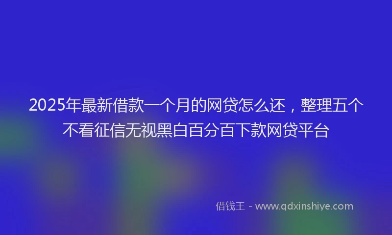 2025年最新借款一个月的网贷怎么还，整理五个不看征信无视黑白百分百下款网贷平台