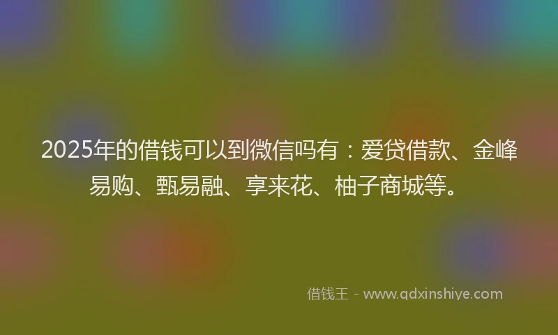 2025年的借钱可以到微信吗有：爱贷借款、金峰易购、甄易融、享来花、柚子商城等。