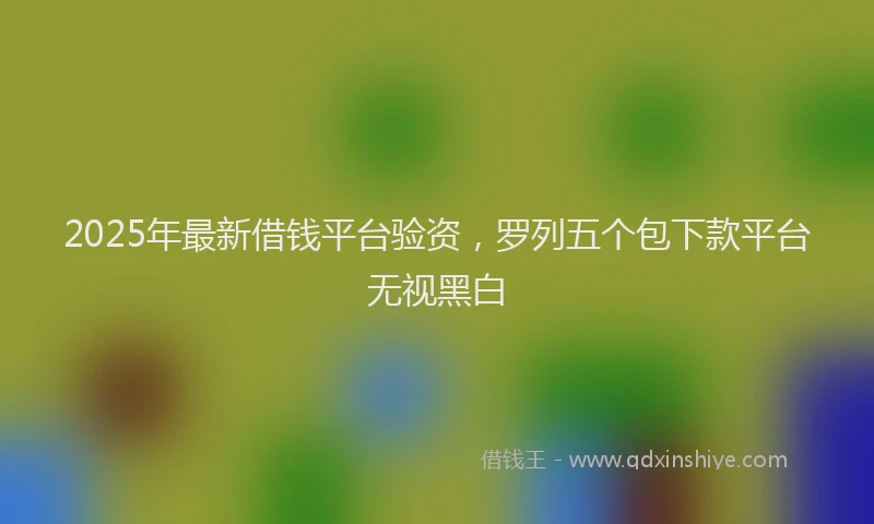 2025年最新借钱平台验资，罗列五个包下款平台无视黑白