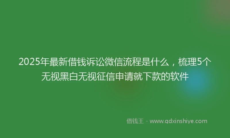 2025年最新借钱诉讼微信流程是什么，梳理5个无视黑白无视征信申请就下款的软件
