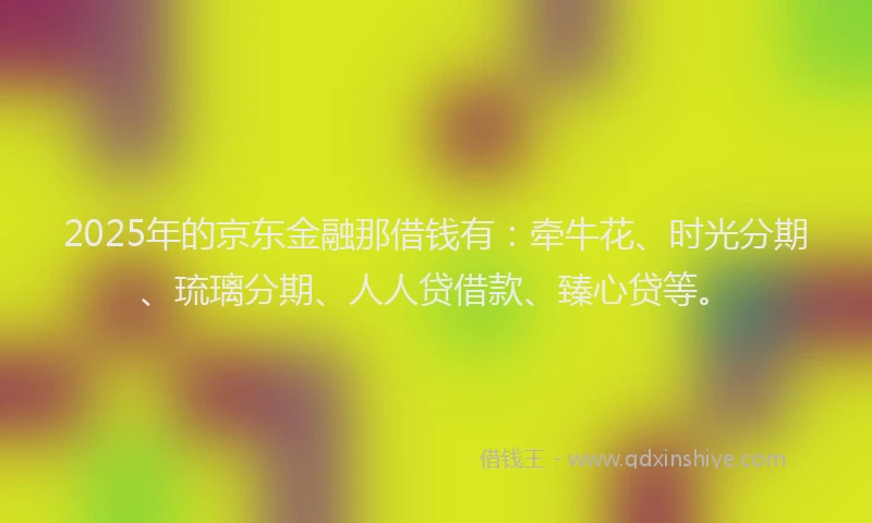 2025年的京东金融那借钱有：牵牛花、时光分期、琉璃分期、人人贷借款、臻心贷等。