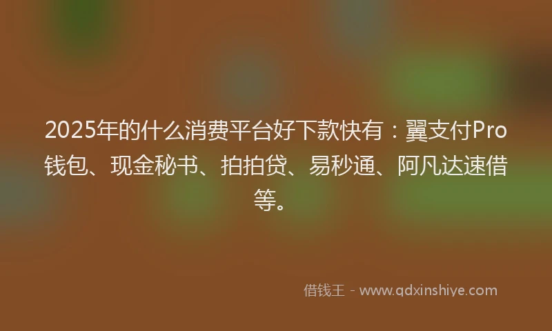 2025年的什么消费平台好下款快有：翼支付Pro钱包、现金秘书、拍拍贷、易秒通、阿凡达速借等。