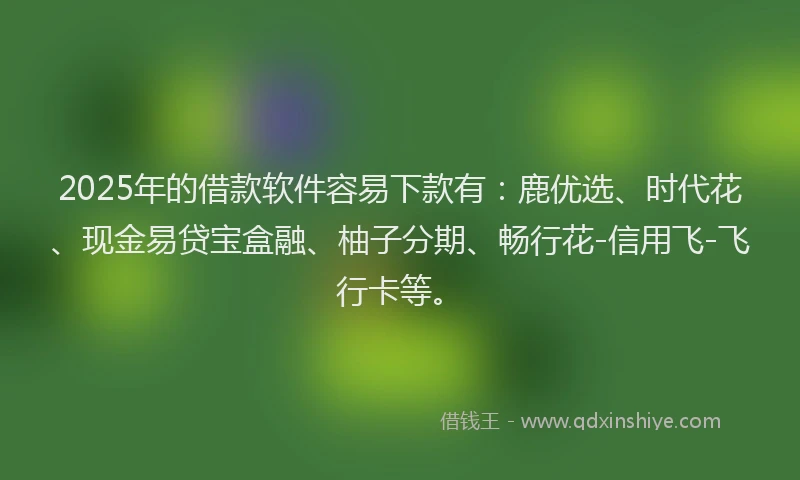 2025年的借款软件容易下款有：鹿优选、时代花、现金易贷宝盒融、柚子分期、畅行花-信用飞-飞行卡等。