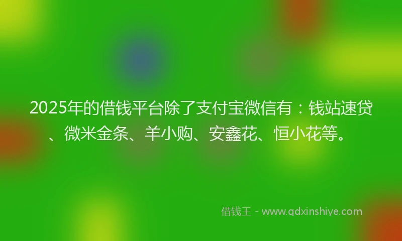 2025年的借钱平台除了支付宝微信有：钱站速贷、微米金条、羊小购、安鑫花、恒小花等。