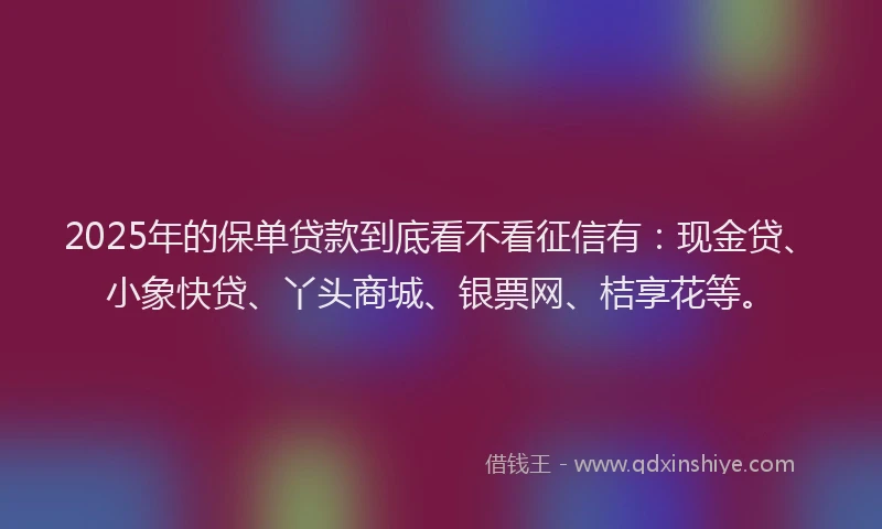 2025年的保单贷款到底看不看征信有：现金贷、小象快贷、丫头商城、银票网、桔享花等。
