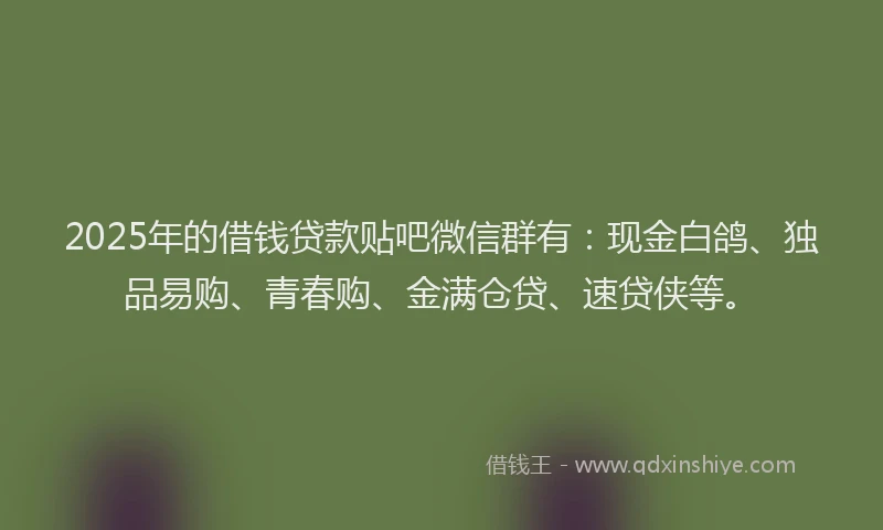 2025年的借钱贷款贴吧微信群有：现金白鸽、独品易购、青春购、金满仓贷、速贷侠等。