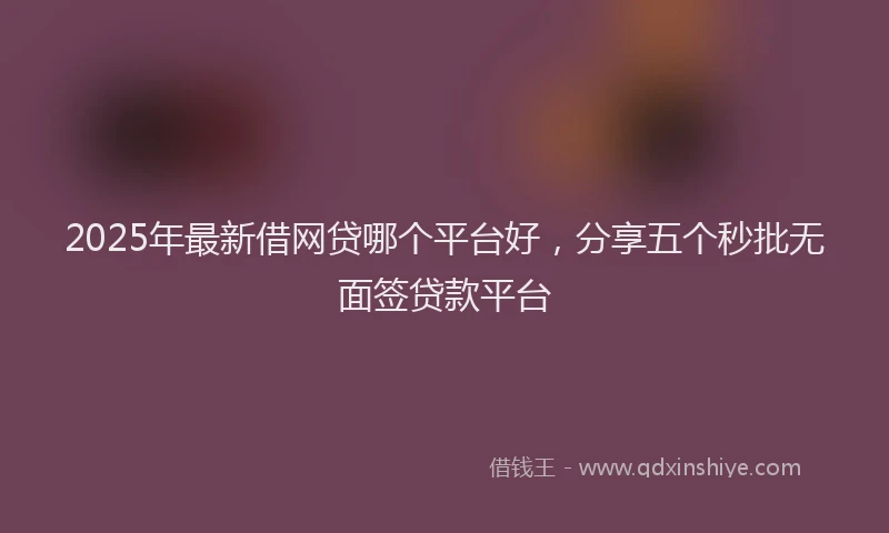 2025年最新借网贷哪个平台好，分享五个秒批无面签贷款平台