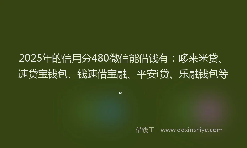 2025年的信用分480微信能借钱有：哆来米贷、速贷宝钱包、钱速借宝融、平安i贷、乐融钱包等。